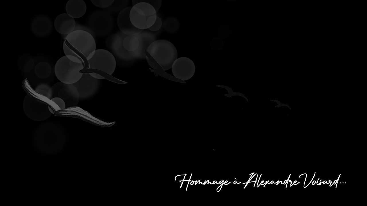 Hommage_Alexandre Voisard