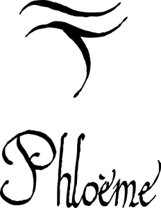 logo phloeme 232x300 - Coup de chapeau &agrave; un &eacute;diteur : &Eacute;ditions Phlo&egrave;me